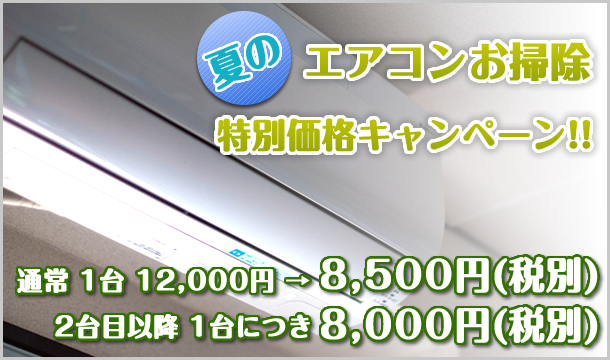 acCamp_summer