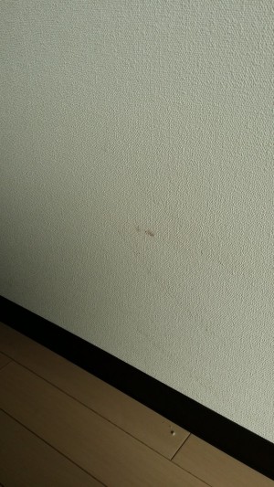 補修前1